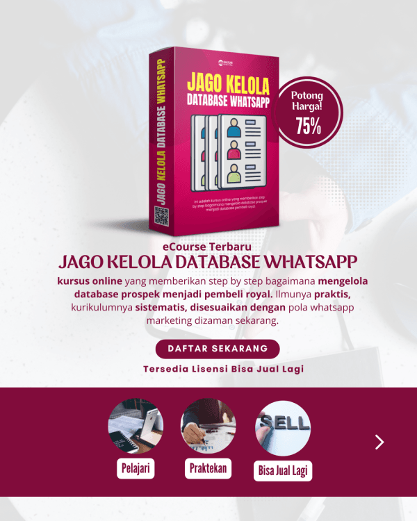 jago kelola database whatsaap